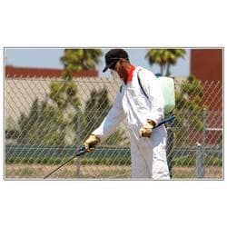 pest-control-services