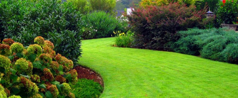 Best landscaping services